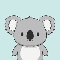 Kokopi Koalas