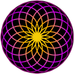 TORUS