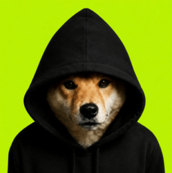 Dog In Hood