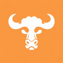 The Bull Coin