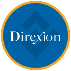 Direxion Semiconductor Bear 3X ETF (bStocks Tokenized Stock)