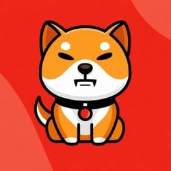 Baby Shib