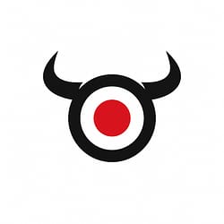BULLS'S EYE