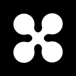 StonkDex
