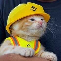 施工猫 (Construction Cat)