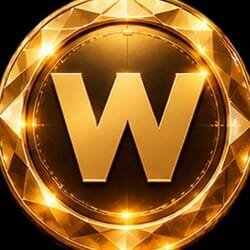 WIN界