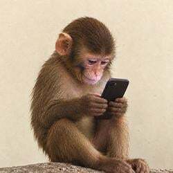 apeonfone