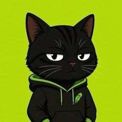Larping Cat