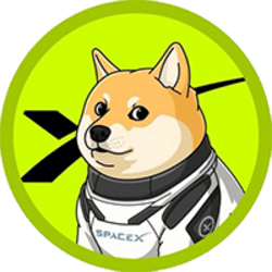 DOGE-1