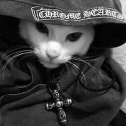 Chrome Cat