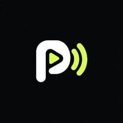 Ponstream
