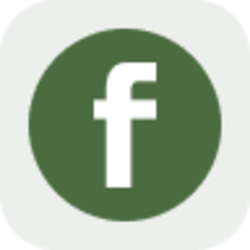 Fabrinet Tokenized Stock (Reality)