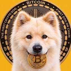 Buddy -First Crypto Dog Price