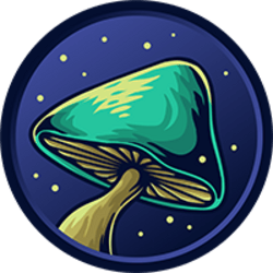 Spore