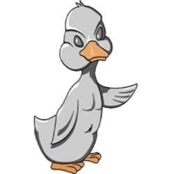 Little Ugly Duck