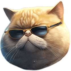 FAT CAT