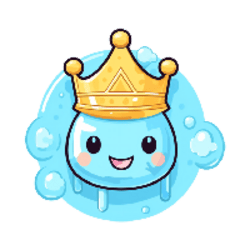 Rain Coin