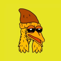 Bird Dog