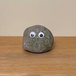 Rocky