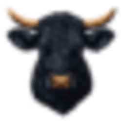 Black Agnus