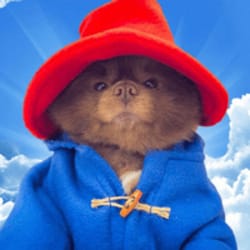 Bertram The Pomeranian