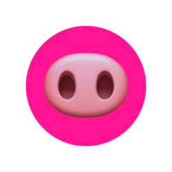 Piggy