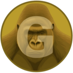 Gorilla