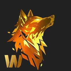W coin