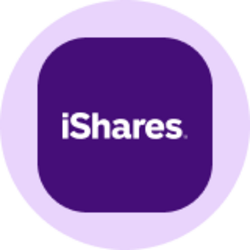 iShares Core MSCI EAFE ETF (Ondo Tokenized ETF)