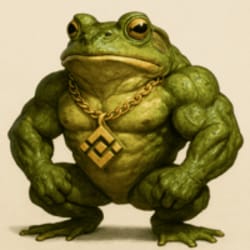 BNB Frog Inu