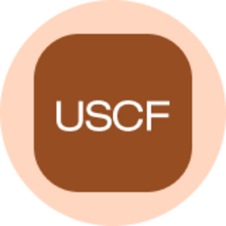 United States Oil Fund (Ondo Tokenized)