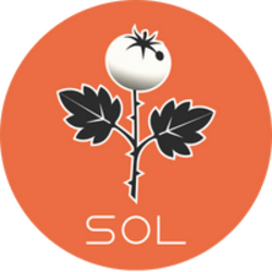 Sol The Trophy Tomato